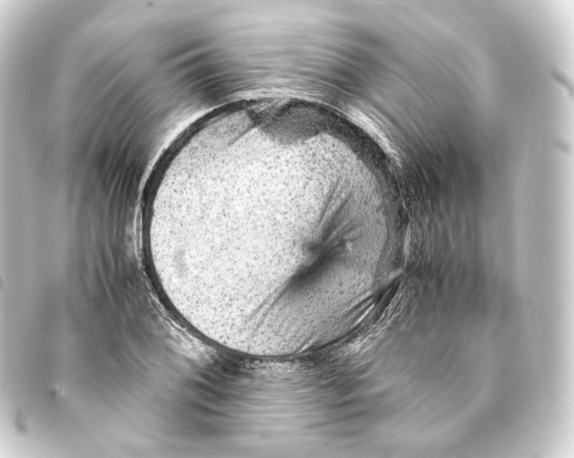 X0000093431076200711021029