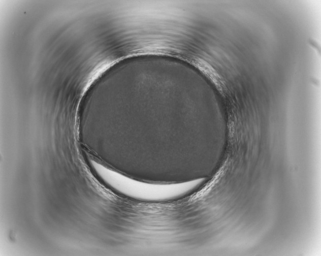 X0000093431077200711021029