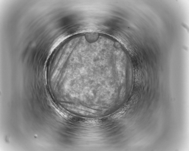 X0000093431078200711021029