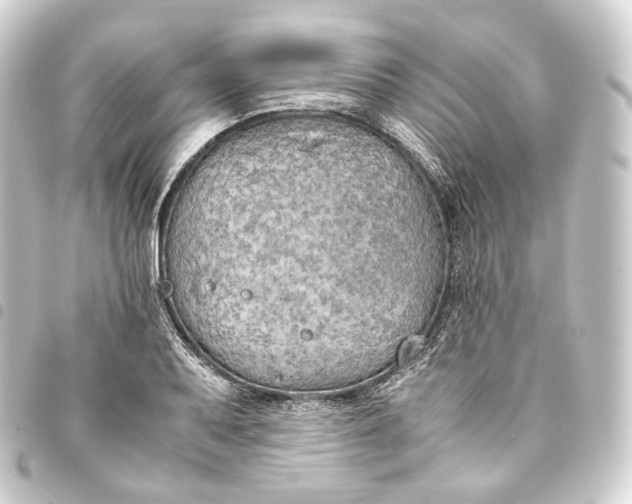 X0000093431079200711021029