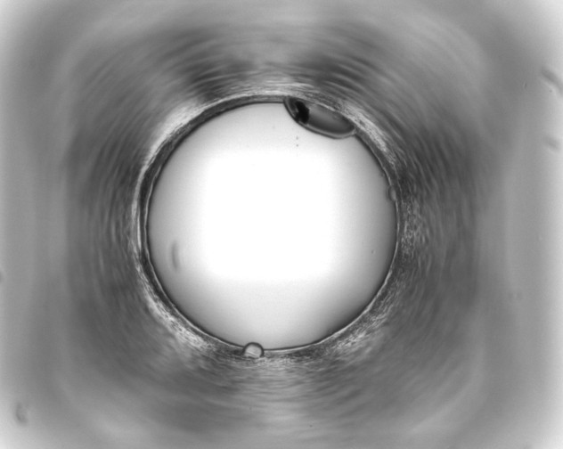 X0000093431080200711021029