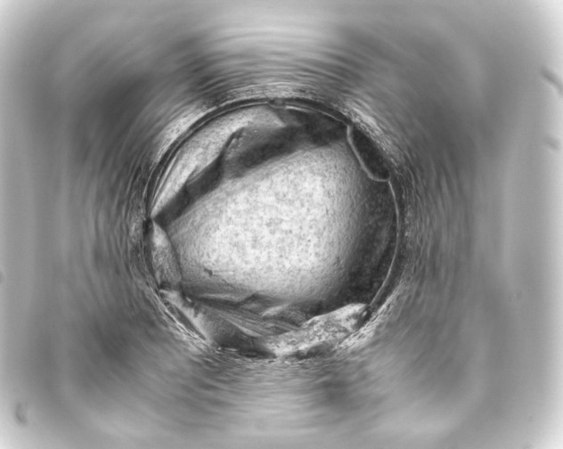 X0000093431081200711021029