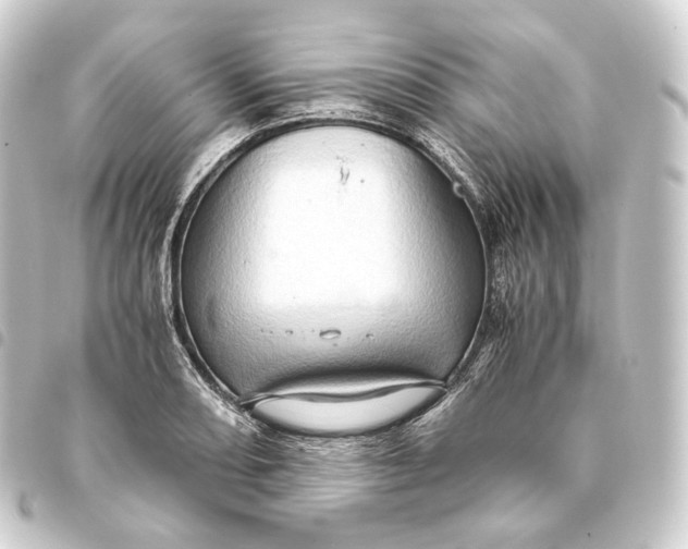 X0000093431082200711021029