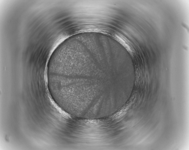 X0000093431084200711021029