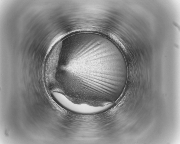 X0000093431085200711021029