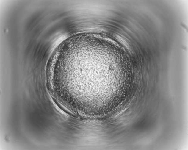 X0000093431087200711021029