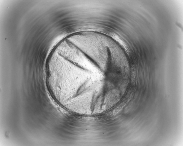 X0000093431088200711021029