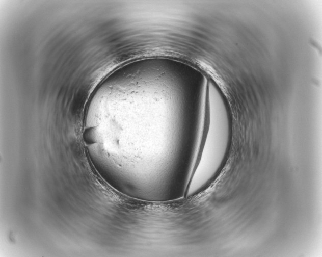 X0000093431089200711021029