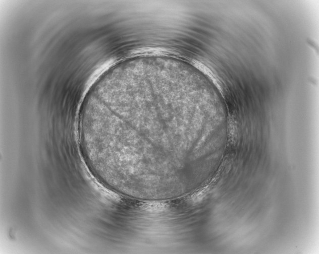 X0000093431090200711021029