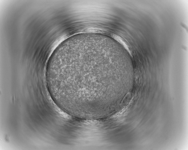 X0000093431091200711021029