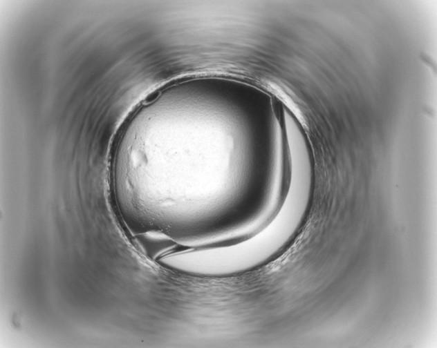 X0000093431093200711021029