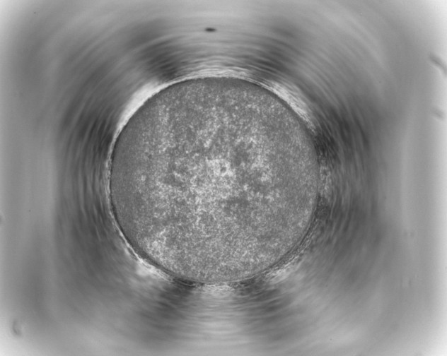 X0000093431094200711021029