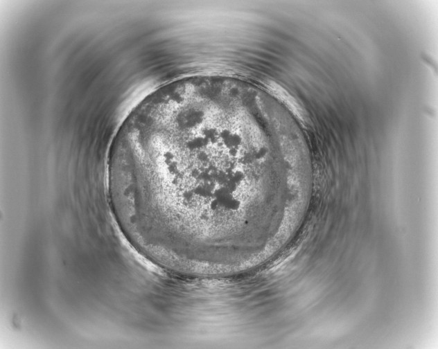 X0000093431095200711021029