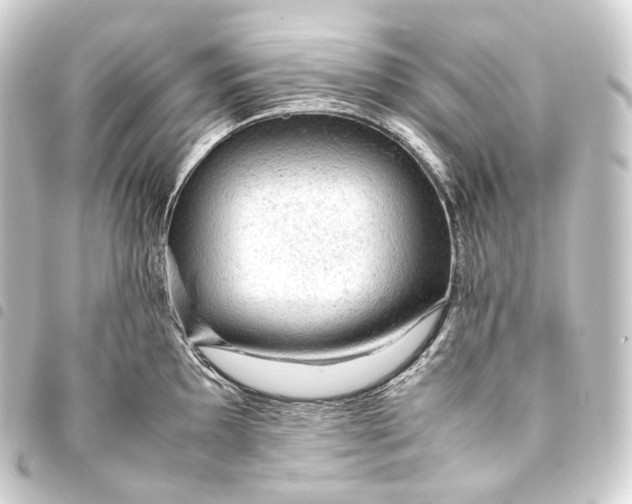 X0000093431097200711021029