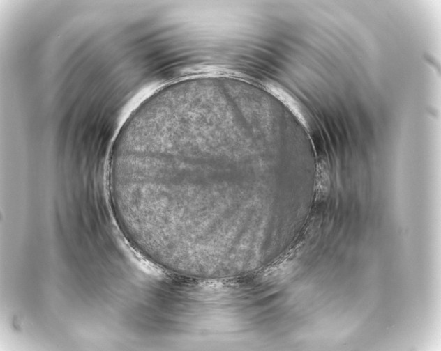 X0000093431098200711021029