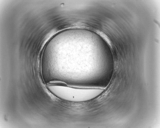 X0000093431099200711021029