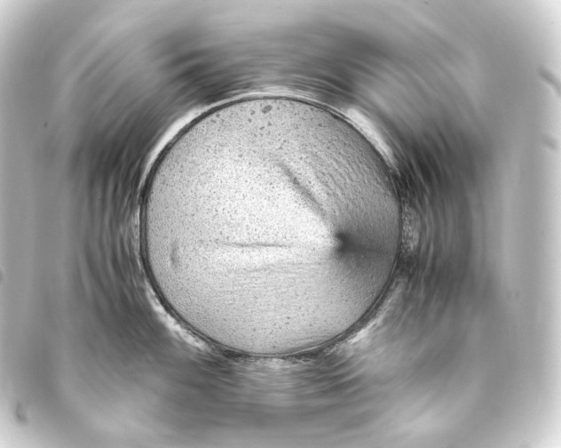 X0000093431100200711021029