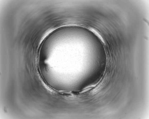 X0000093431101200711021029