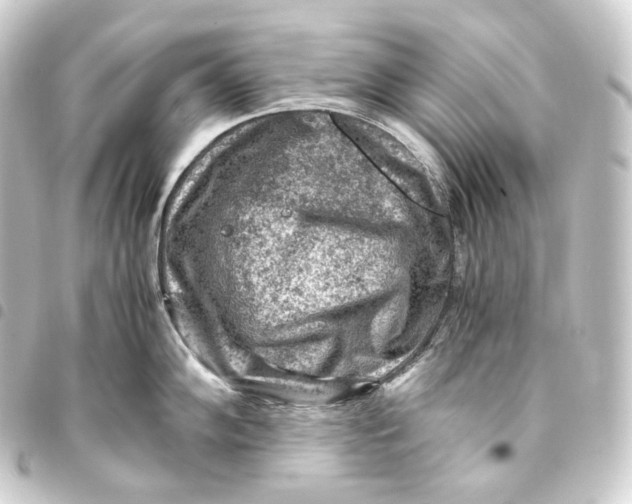 X0000093431102200711021029