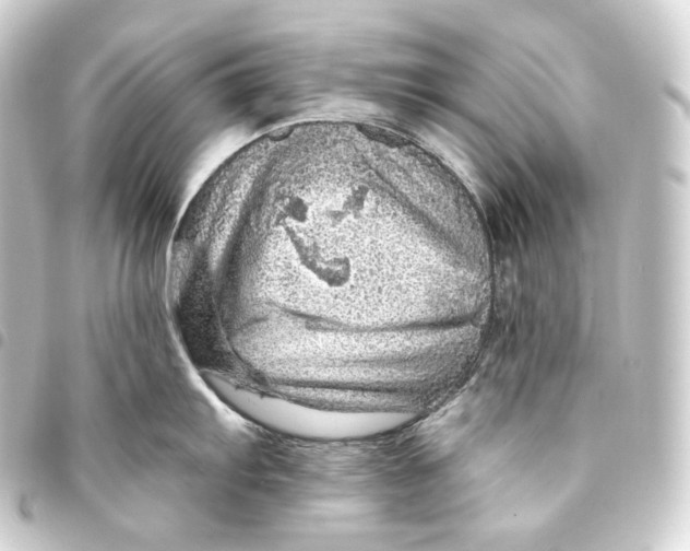 X0000093431103200711021029