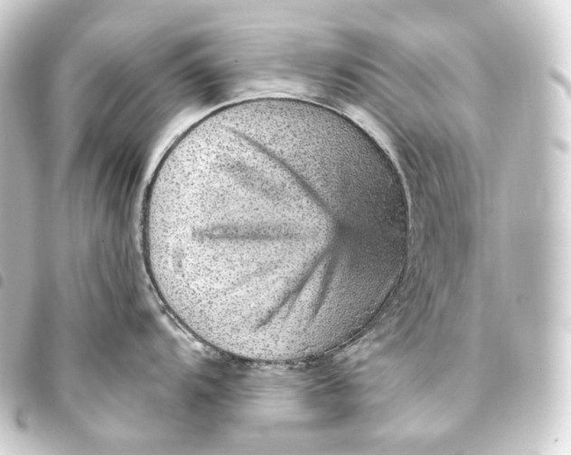 X0000093431104200711021029