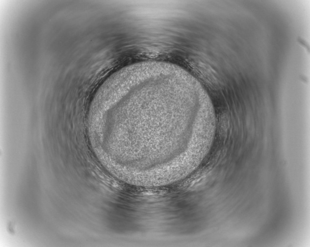 X0000093431105200711021028