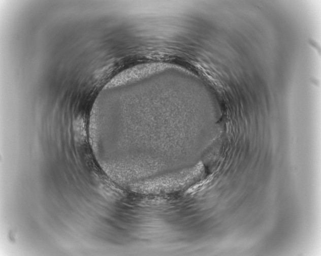 X0000093431106200711021028