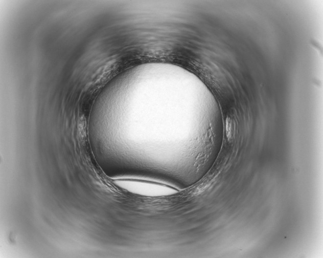 X0000093431107200711021028