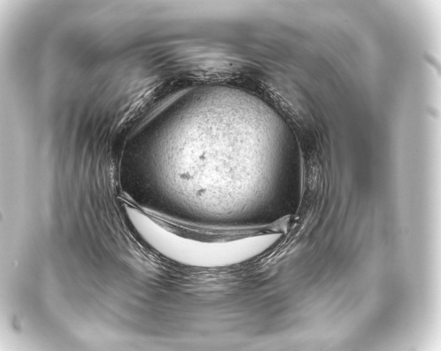 X0000093431108200711021028