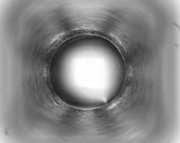 X0000093431110200711021028