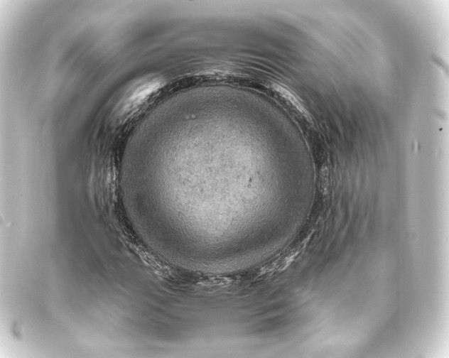 X0000093431111200711021028