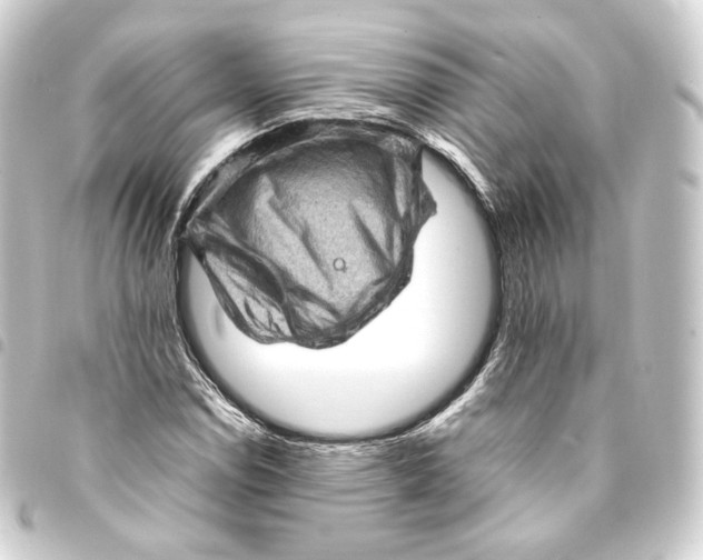 X0000093431114200711021028