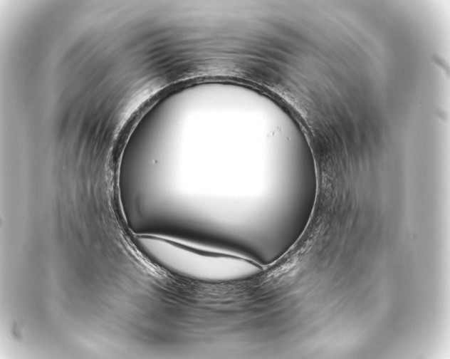 X0000093431119200711021028