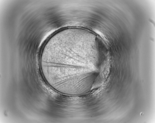 X0000093431120200711021028