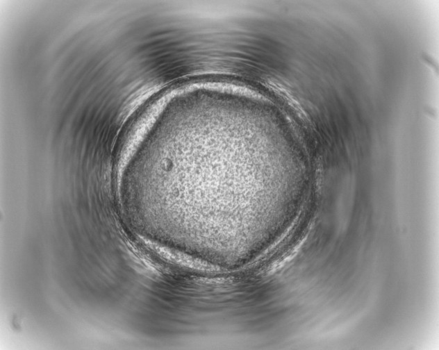 X0000093431121200711021028