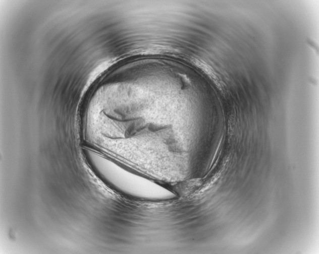 X0000093431122200711021028