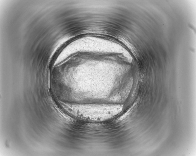 X0000093431123200711021028