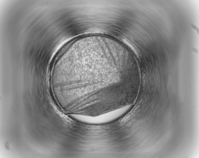 X0000093431124200711021028