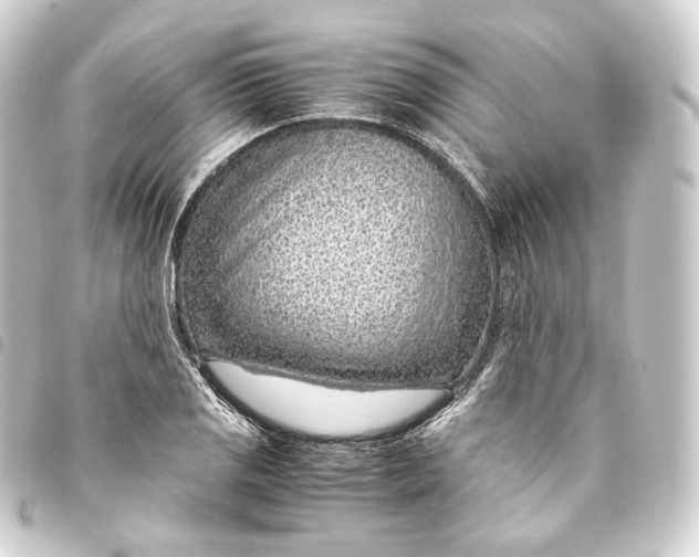 X0000093431125200711021028