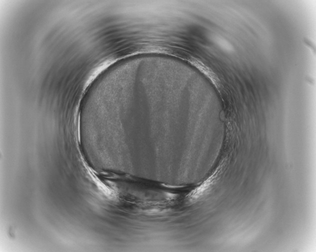 X0000093431127200711021028