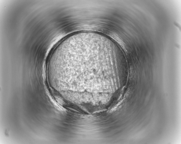 X0000093431128200711021028