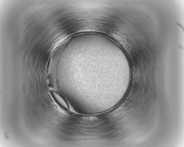 X0000093431129200711021029