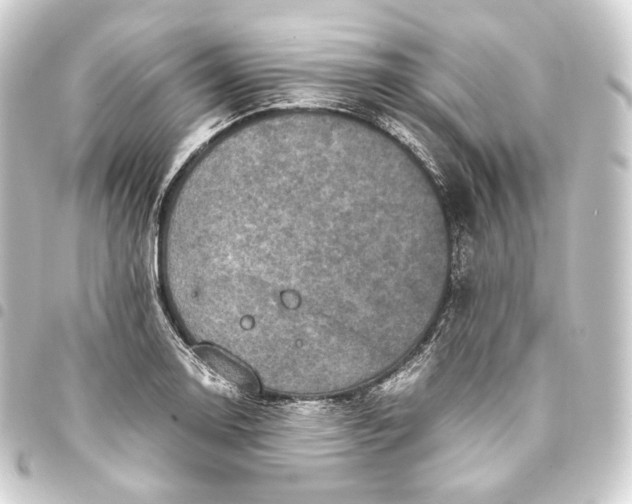 X0000093431130200711021029