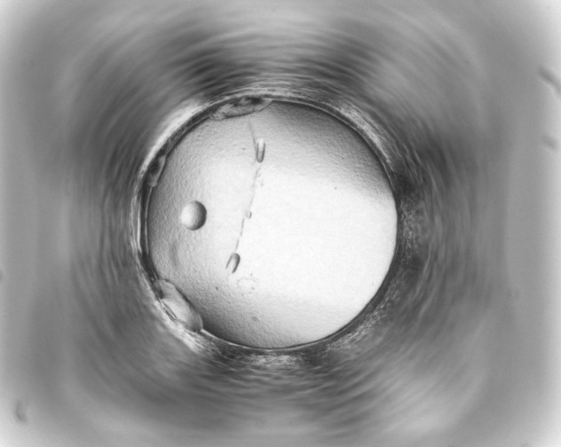 X0000093431131200711021029