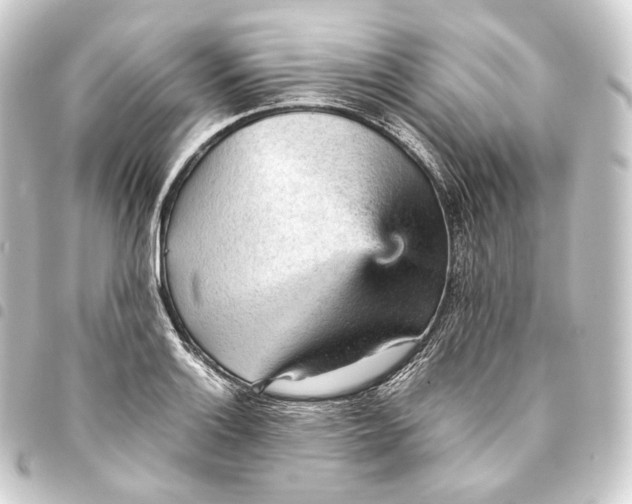 X0000093431132200711021029