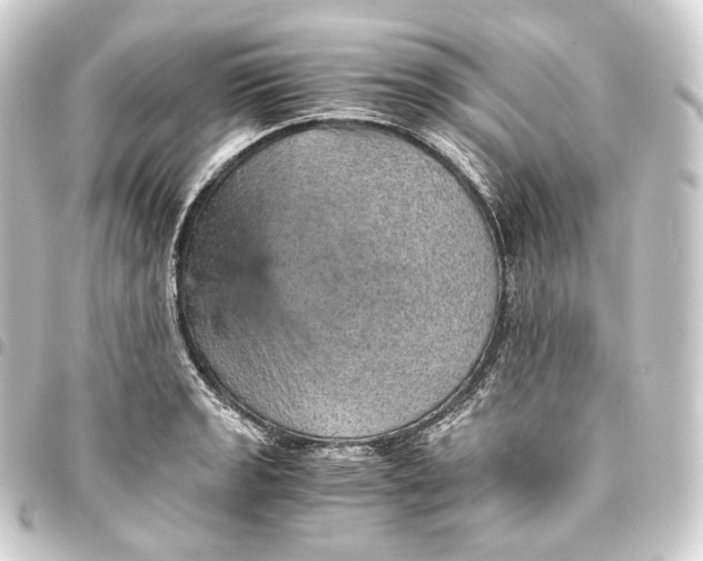 X0000093431133200711021029