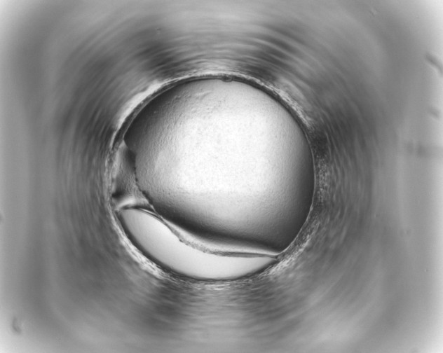 X0000093431134200711021029