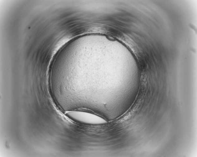 X0000093431135200711021029