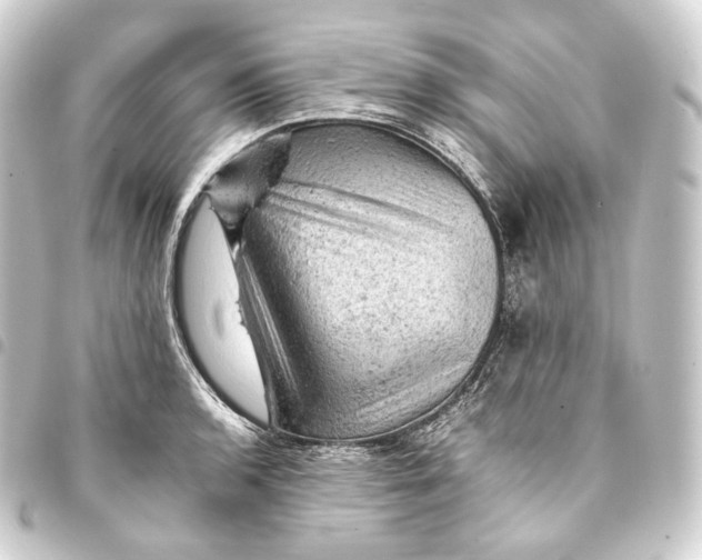 X0000093431136200711021029