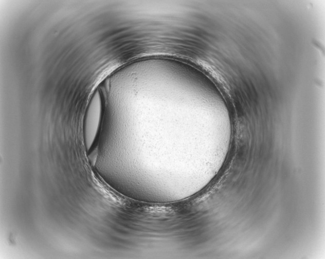 X0000093431137200711021029